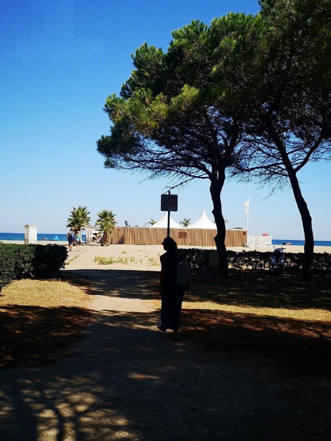 Charmant T2 Terrasse, Bord De Mer Argeles-sur-Mer Exterior photo